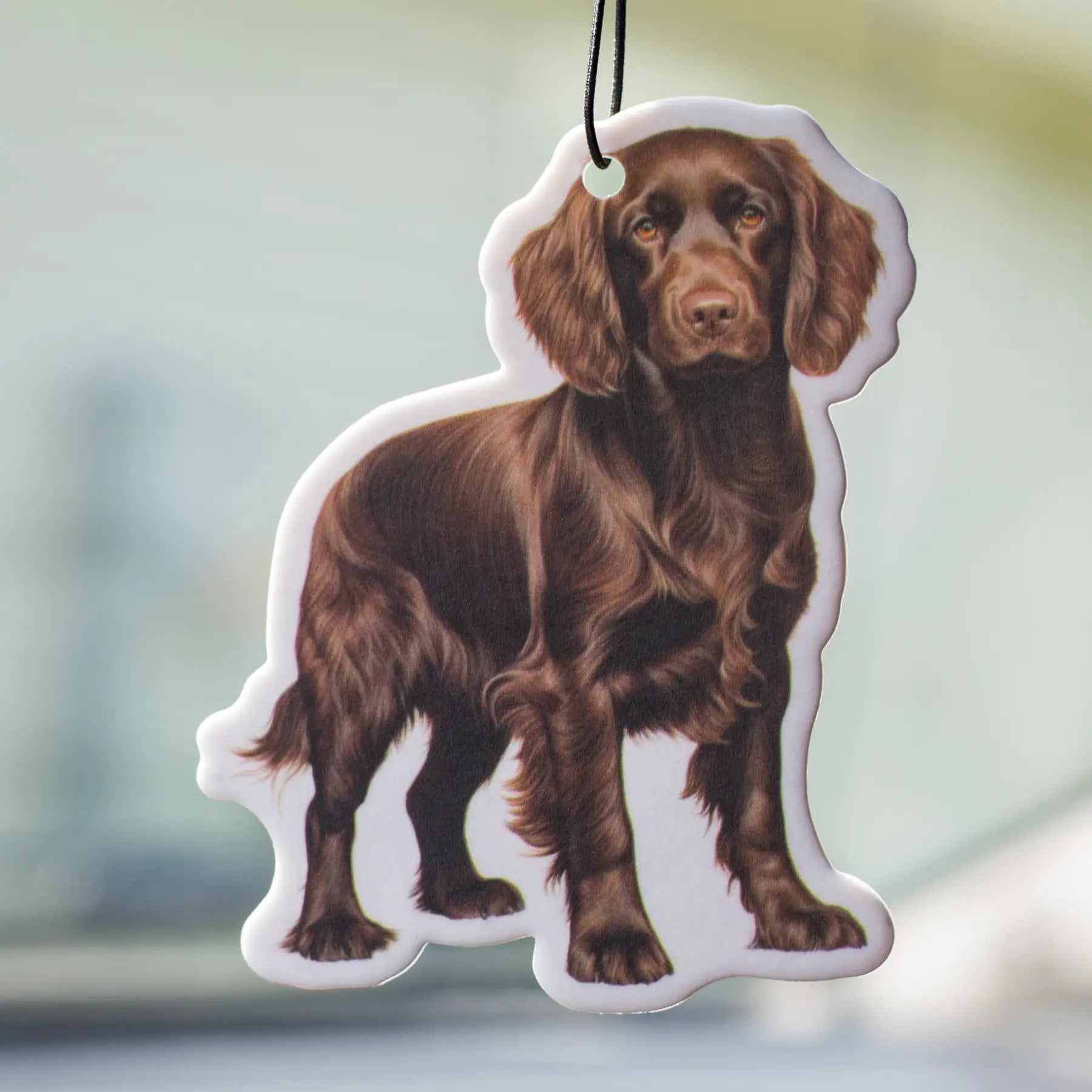 Scent South- Boykin - Air Freshener